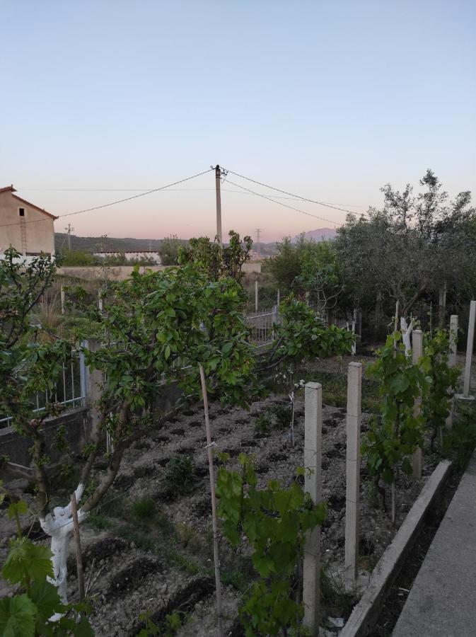 דירות Vlorë Alanthia מראה חיצוני תמונה